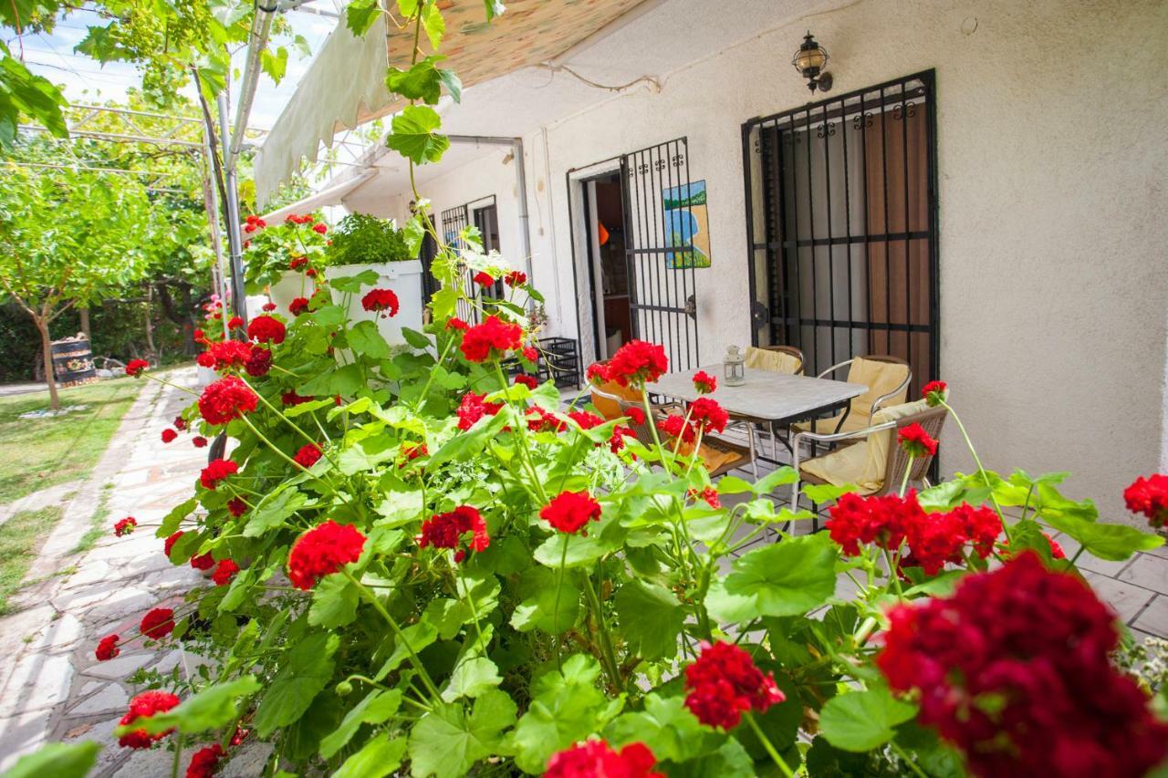 Nakou House Villa Vráchos Buitenkant foto